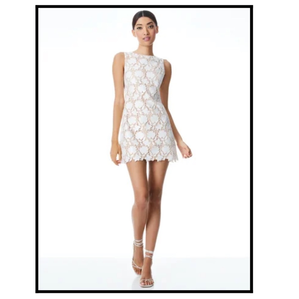 Alice and Olivia - Clyde Shift Dresd